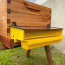 Coletor de Pólen Alvado Completo