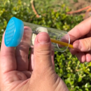 Marcador Tubo Identificação de Abelha-Rainha