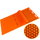 Molde de Silicone Para Apicultura