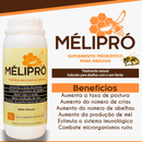 Suplemento Para Abelhas - Mélipró Probiótico Alimentação 1L