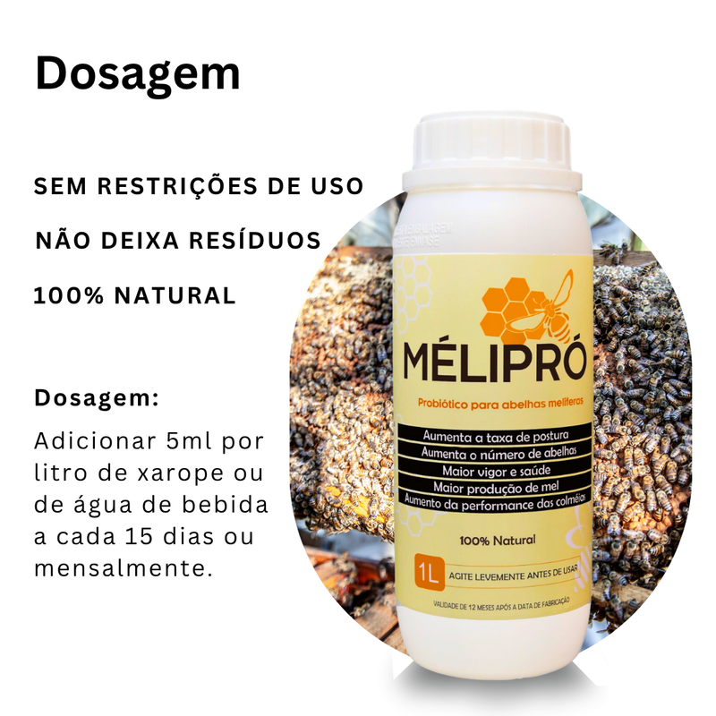 Suplemento Para Abelhas - Mélipró Probiótico Alimentação 1L