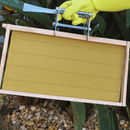 Cera Alveolada Pura 1Kg