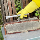 Saca Quadros com Formão Inox