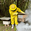 Apicultor com Macacão SR PREMIUM e Luvas SR CROSS 100% antiferroadas abrindo caixa colmeia de abelhas durante manejo no apiário