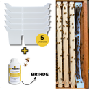 Alimentador SR Bipartido Ninho Doolittle + GRÁTIS SR Probiótico 500mL - 5 un.